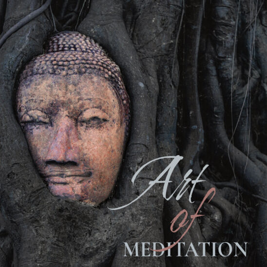 ArtofMeditation-Product-600x594